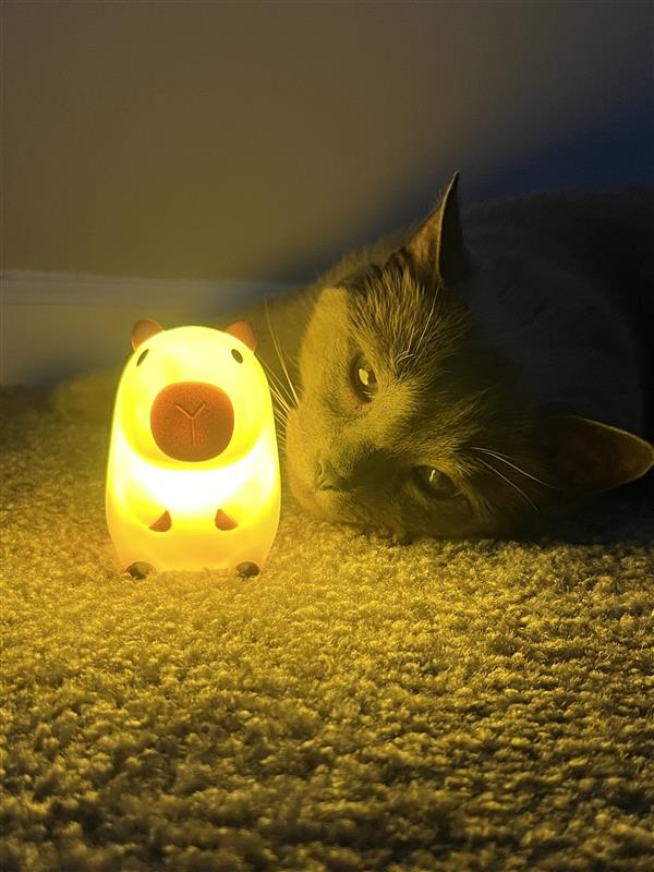 Cozea™ Capybara Night Light
